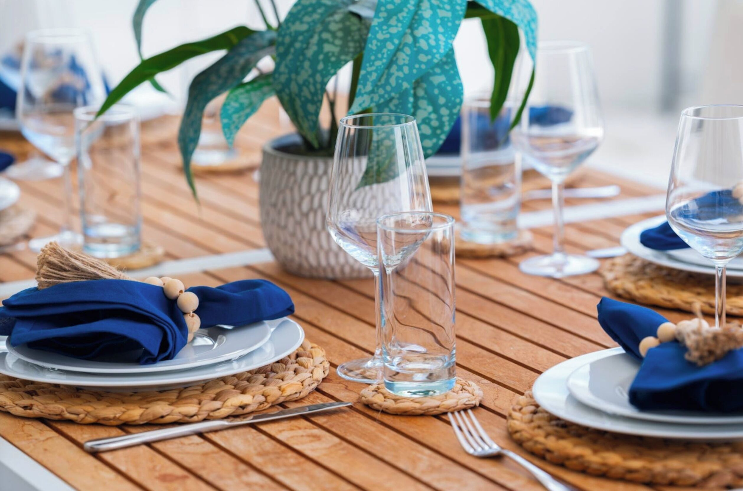 A wooden table set with plates, napkins, and glasses, with a woven placemat and a potted plant.
