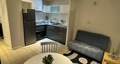 Central Apartment in Concepción