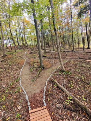 Ein bewaldetes Gebiet mit einem Feldweg, gesäumt von Steinen und Holzplanken.