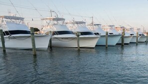 Een jachthaven met verschillende witte boten aan houten palen afgemeerd.
