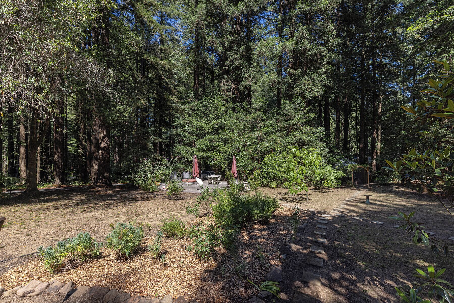 A forested area with a picnic table and chairs, surrounded by dense trees.