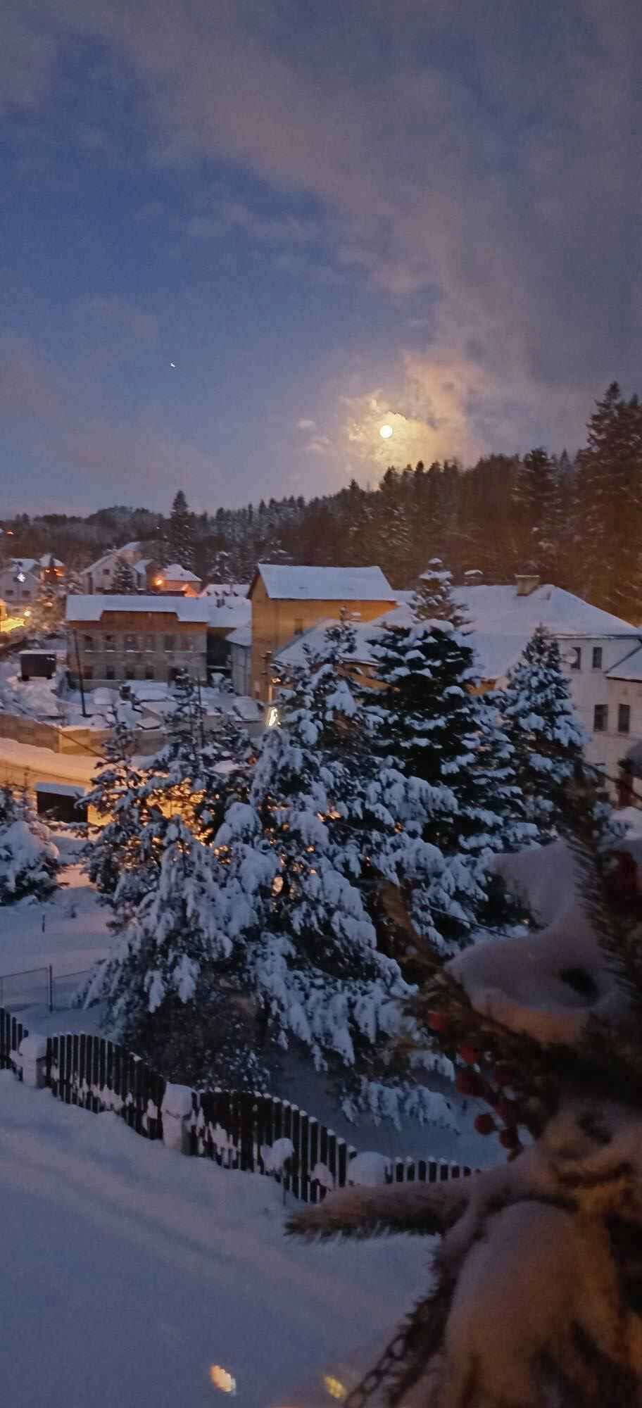 Un paysage enneigé avec des bâtiments et un arbre au premier plan.