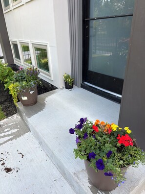 Uma entrada de edifício com um caminho de concreto que leva a uma porta, rodeada por plantas em vasos com diversas flores.