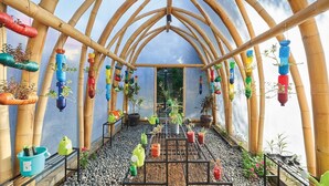 A greenhouse with bamboo arches, hanging planters, and potted plants on a gravel floor. - Marriott Bali Nusa Dua Gardens 1 Bedroom Kitchenette 3 weeks (Badung Regency)