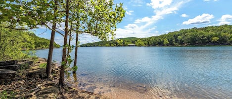 A lakeside view with clear water, trees, and a distant shoreline.