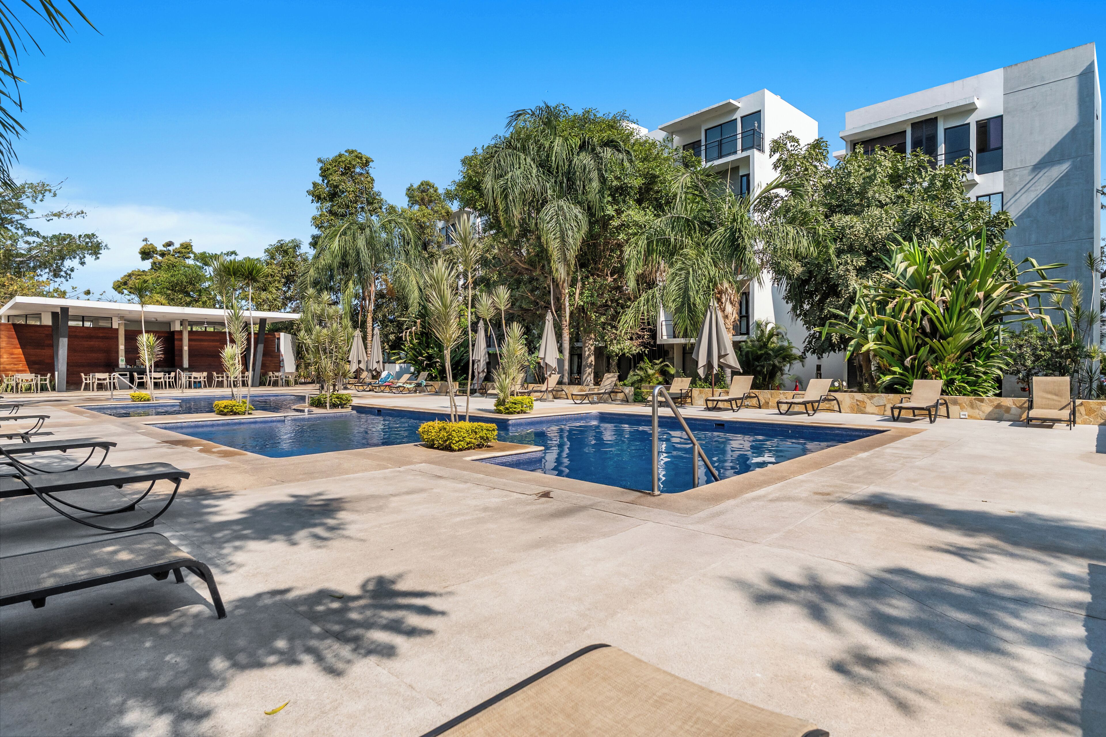 Una piscina al aire libre, sombrillas, sillones reclinables de piscina