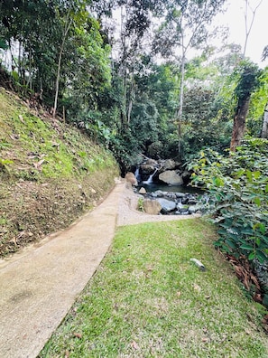 A concrete pathway leading to a small waterfall surrounded by dense greenery. - Creekvista Vista y Encanto del Charco (Cocorná)