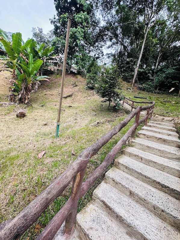 A concrete staircase with a wooden handrail, surrounded by grass and trees. - Creekvista Vista y Encanto del Charco (Cocorná)