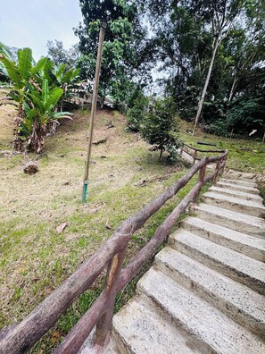 A concrete staircase with a wooden handrail, surrounded by grass and trees. - Creekvista Vista y Encanto del Charco (Cocorná)