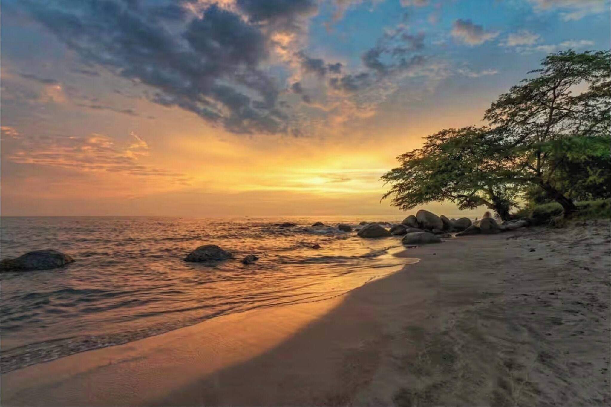 Apartment, 1 Bedroom, Accessible, Patio | Beach