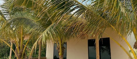 A building with a white exterior, large windows, and a paved area with palm trees and plants.