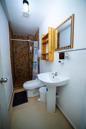 Habitación, 1 cama Queen size, vista al jardín | Baño | Regadera, toallas, jabón, papel de baño 