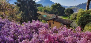 Ein Haus, umgeben von violetten Blumen, mit einem Berg im Hintergrund.