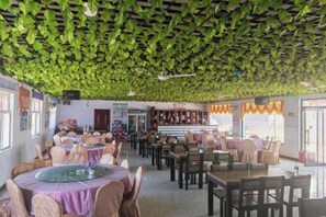 A restaurant with tables and chairs, a bar area, and a ceiling covered in green foliage.
