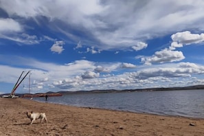 A beach with a dog, a crane, and a body of water under a cloudy sky.