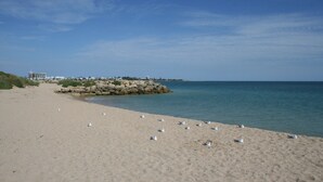 Ein Strand mit einer Felsformation, ruhiger See und vereinzelten Vögeln.