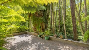 Zona boscosa con un camino de grava, macetas verdes y casas para pájaros de madera.