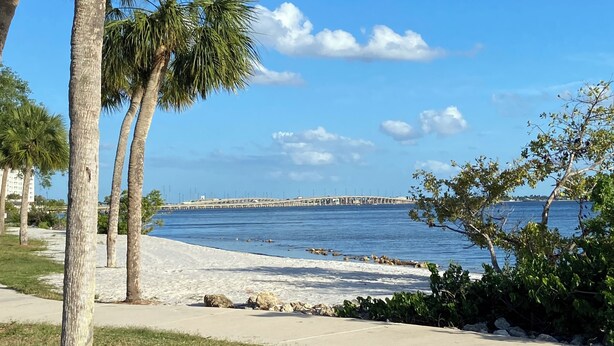 A beach with palm trees, a pier, and a clear blue sky.