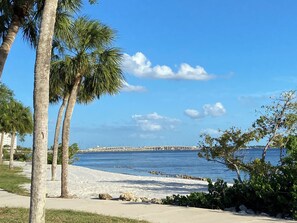 Una playa con palmeras, un muelle y cielo azul claro.