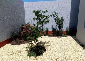Property grounds - Beautiful home just 6 minutes from the heart of Oaxaca City (Oaxaca de Juárez)
