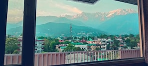 Blick auf eine Stadt mit Bergen im Hintergrund, einem hohen Sendeturm und Gebäuden mit begrünten Dächern.