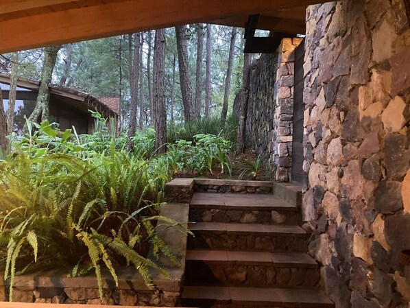 Una escalera de piedra que conduce a una zona cubierta, con un bosque de fondo.