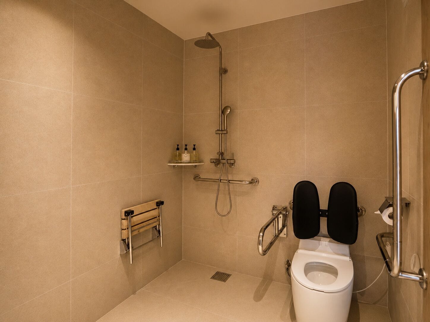 Baño con ducha, inodoro y barras de apoyo.