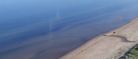 Ranta
