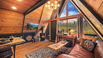 TV, fireplace, books