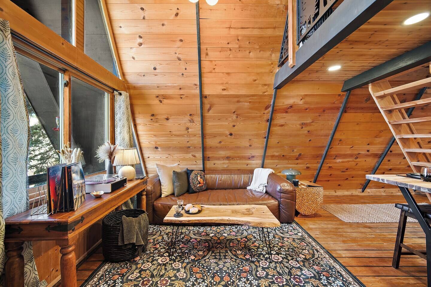 TV, fireplace, books