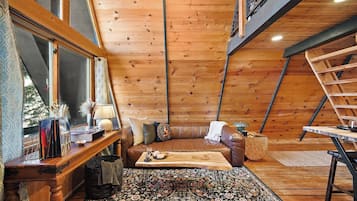 TV, fireplace, books