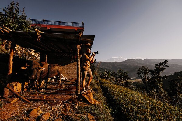 A rustic building with a sloped roof, a person standing with a camera, and a bull in the foreground.