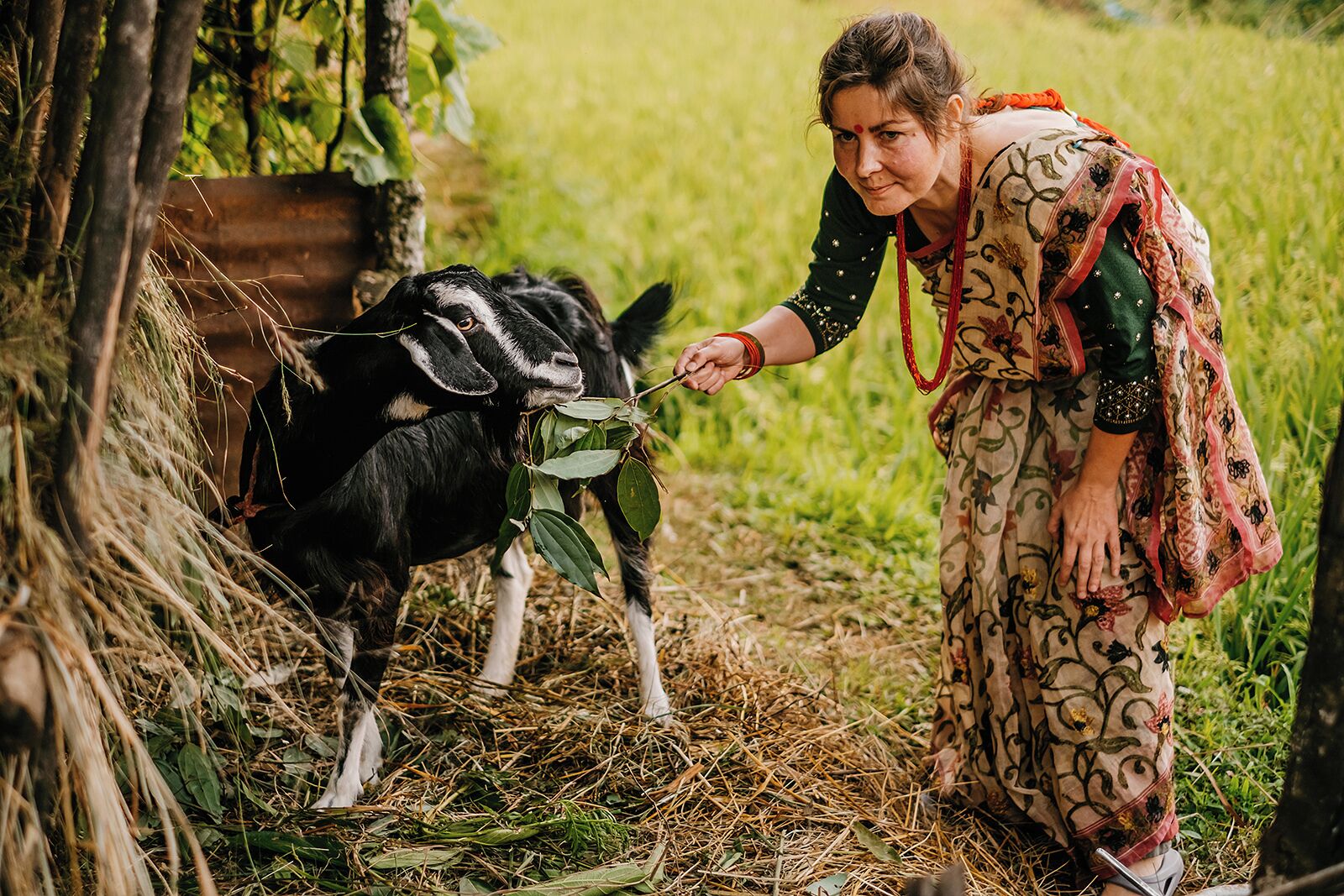 A person interacting with a goat in a natural setting.