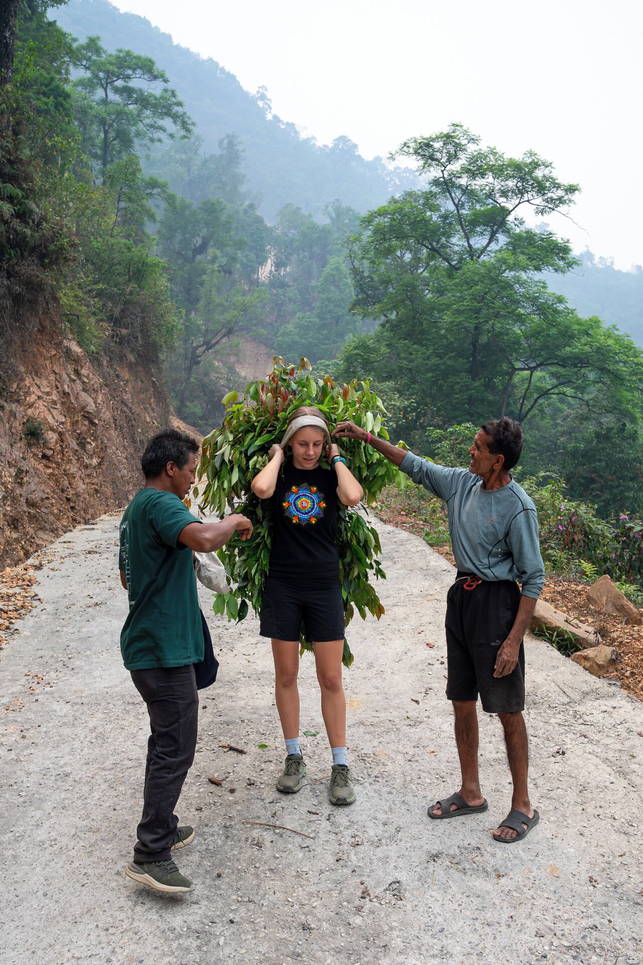 A person holding a large plant, standing on a dirt path with trees and a mountain in the background.