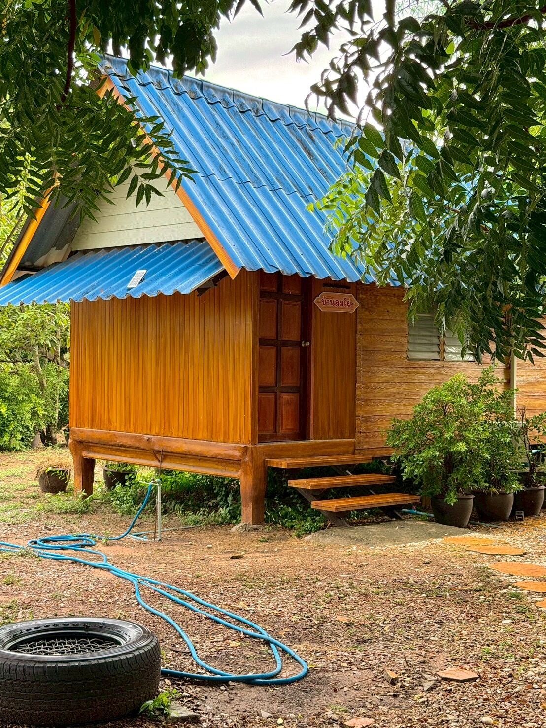 A small wooden structure with a corrugated metal roof, surrounded by potted plants and a hose.