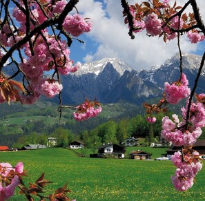Eine Berglandschaft mit schneebedeckten Gipfeln, einer grünen Wiese und Häusern im Vordergrund.
