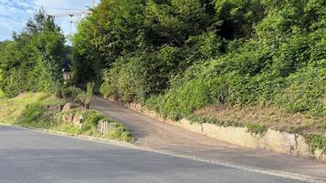 Eine Straße, an deren Seite eine Steinmauer und dichtes Grün zu sehen sind.