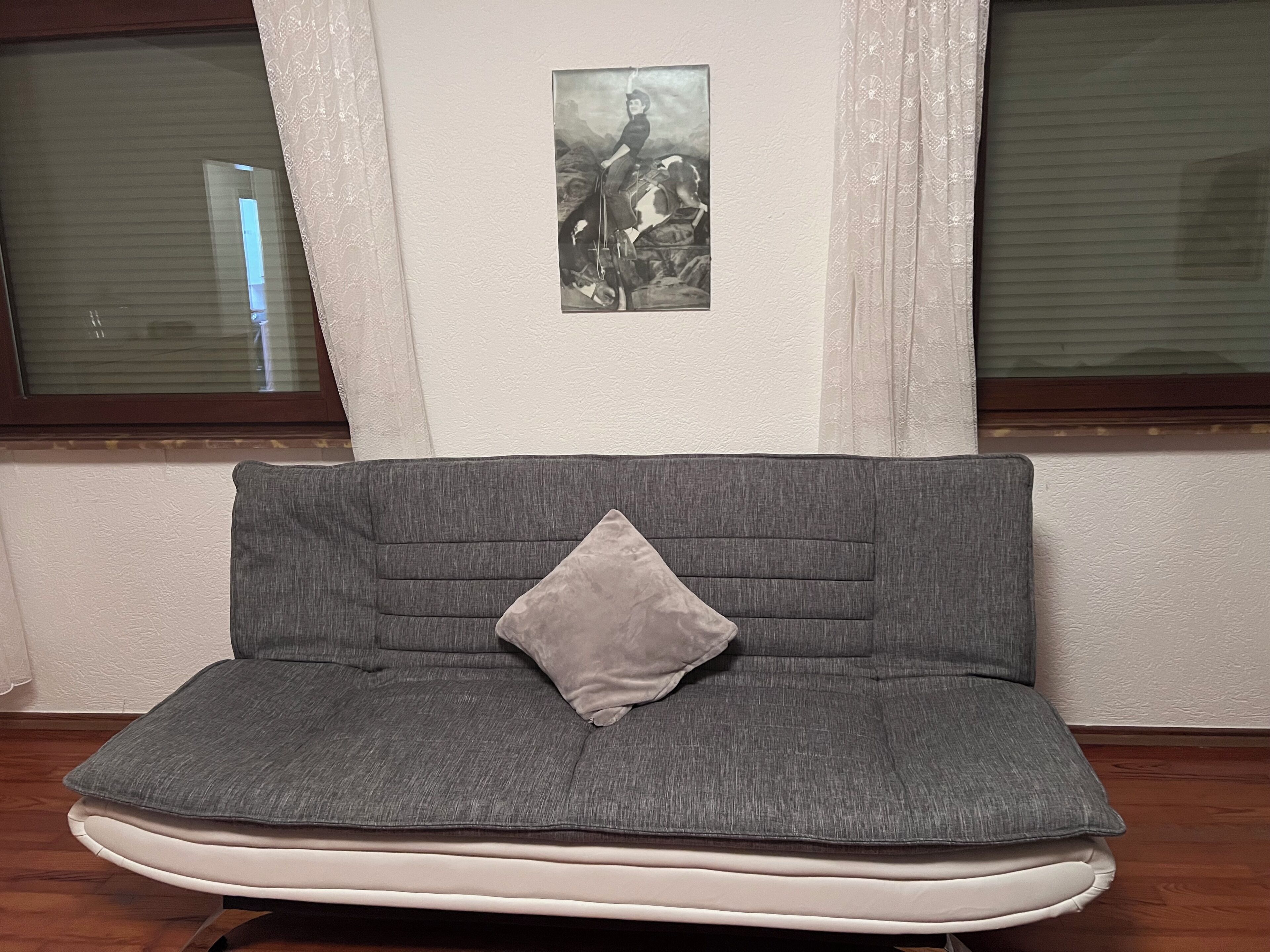 Ein graues Sofa mit einem Kissen, ein gerahmtes Bild an der Wand und ein Fenster mit Jalousien.