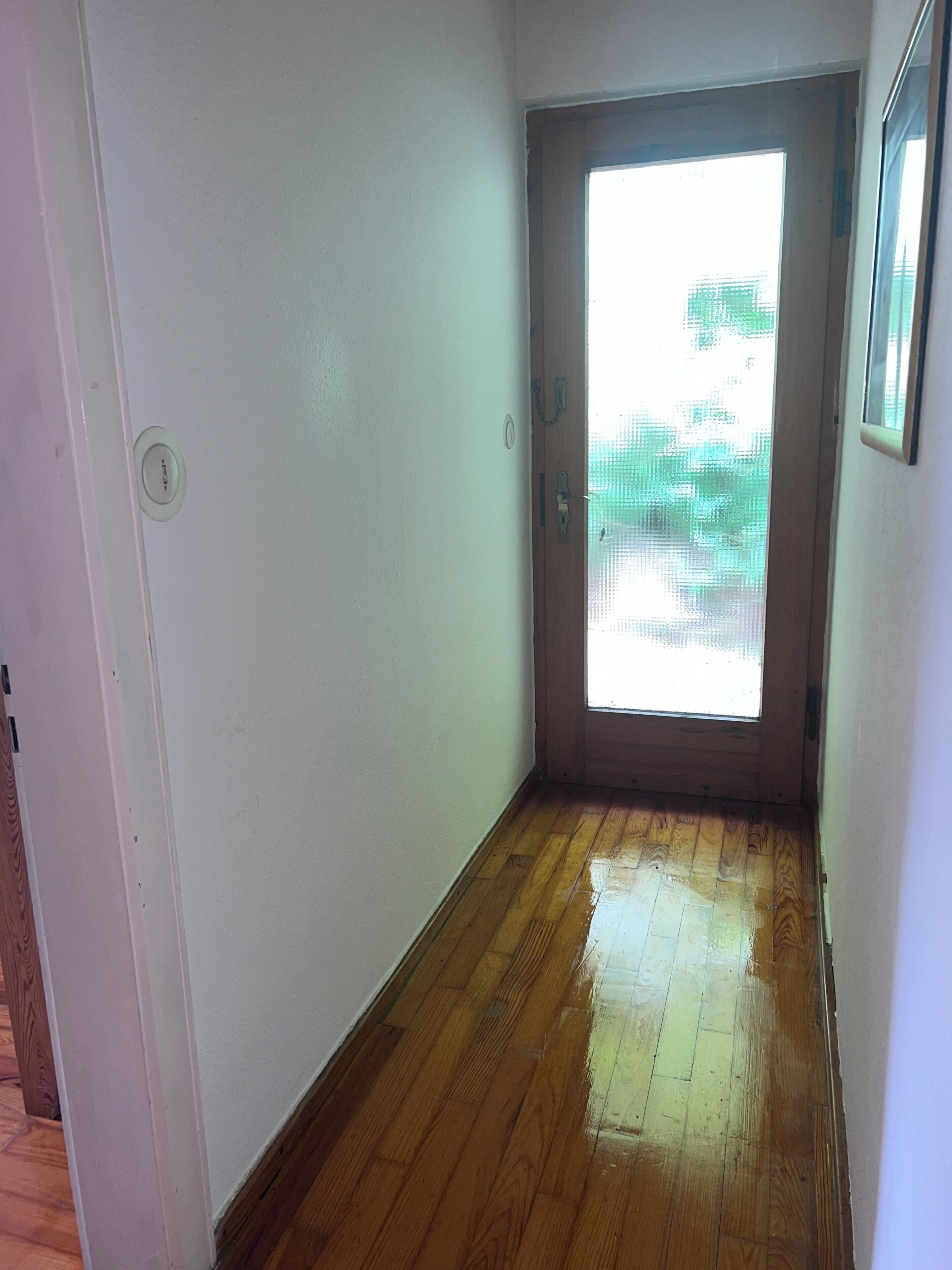 Un corridoio con pavimento in legno, una porta con finestra e un interruttore della luce fissato al muro.