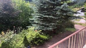 En balkong med utsikt över en trädgård, ett stort barrträd och en vit byggnad i bakgrunden.