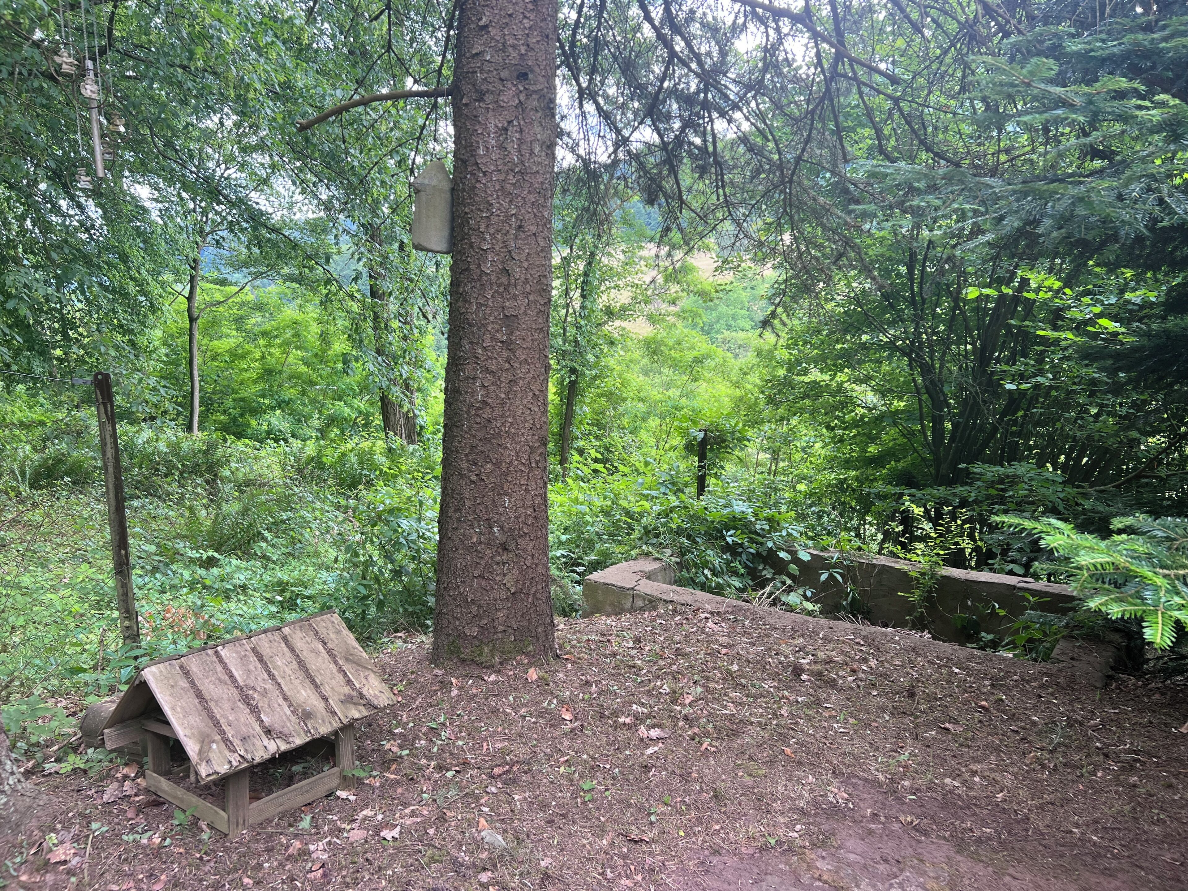 Enceinte de l’hébergement