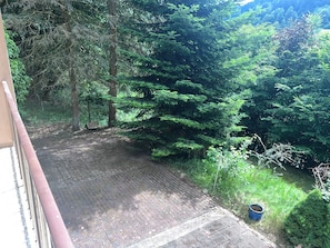 Un chemin pavé mène à une zone boisée où se trouvent un banc et un conteneur bleu.