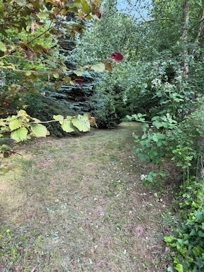 Eine naturbelassene Außenanlage mit einem Grasweg, umgeben von dichtem Grün und Bäumen.