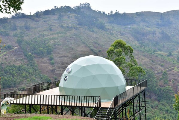 A geodesic dome structure with a metal staircase leading to a platform with a railing.