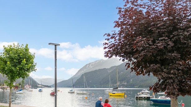 Une vue sur le lac, avec des bateaux, un banc et un arbre.