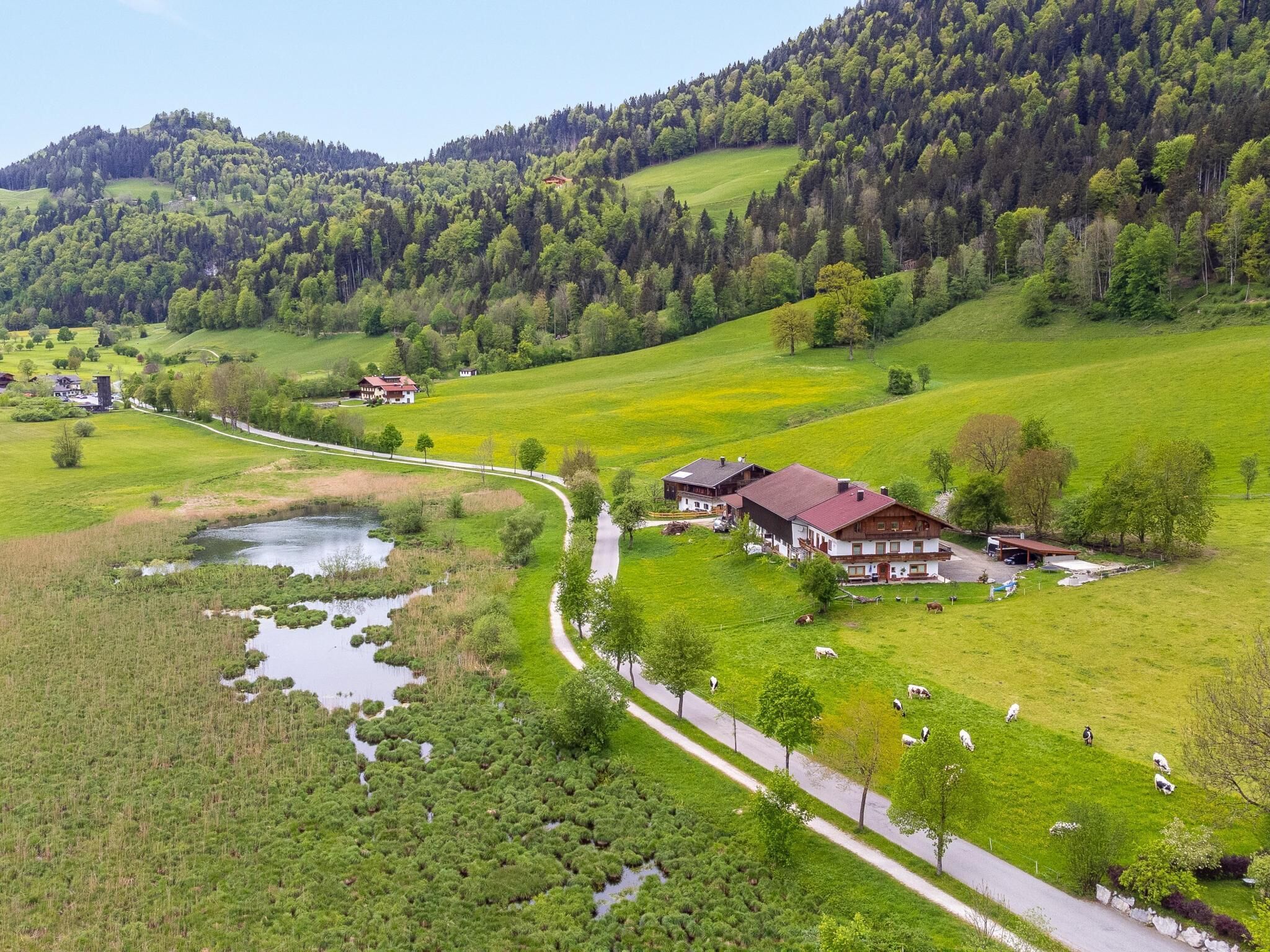 A rural landscape with a farmhouse, a winding road, and a pond.