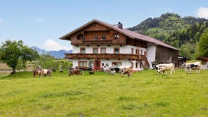 Una casa de madera de dos pisos con un balcón, rodeada por un campo cubierto de hierba y vacas.