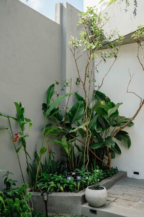 A courtyard with various plants, a large planter, and a wall.