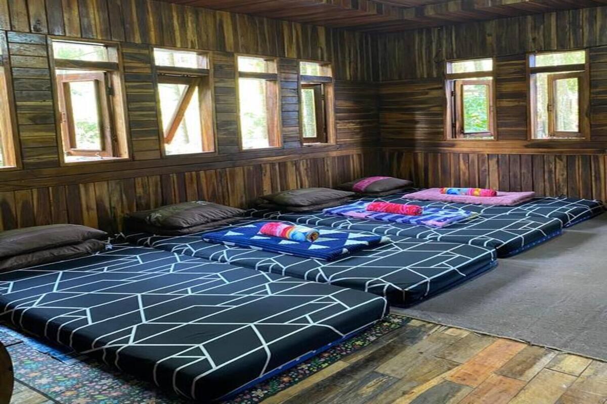 A room with wooden walls and ceiling, multiple beds with geometric-patterned bedding, and windows allowing natural light.