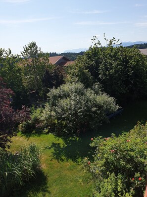 Un giardino con diverse piante e un piccolo stagno.